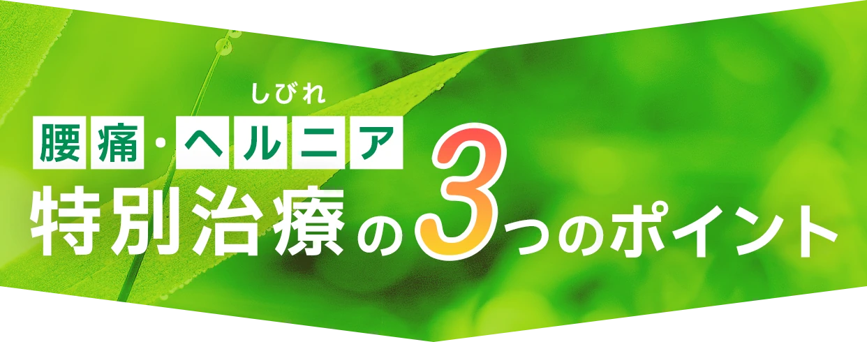 腰痛・ヘルニア(しびれ)特別治療の3つのポイント